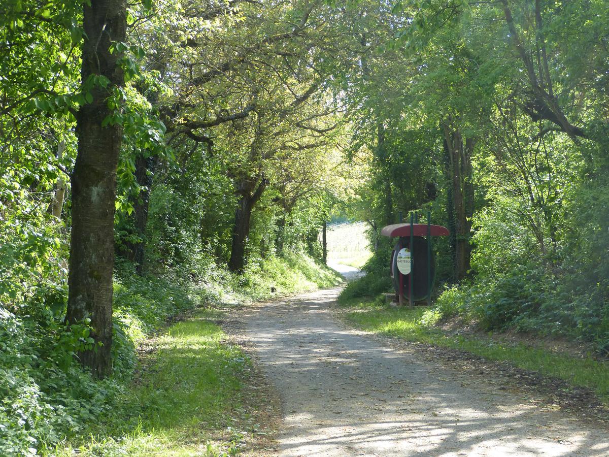 Gaestehaus Annel Niederhorbach Eksteriør billede